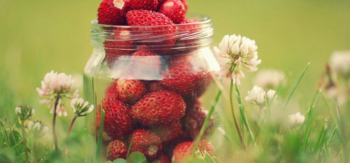 Lorem ipsum dolor sit amet, consectetur adipisicing elit