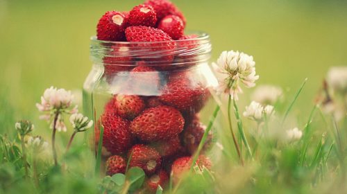 Lorem ipsum dolor sit amet, consectetur adipisicing elit